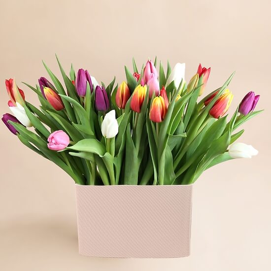 Rainbow with Vase bouquet
