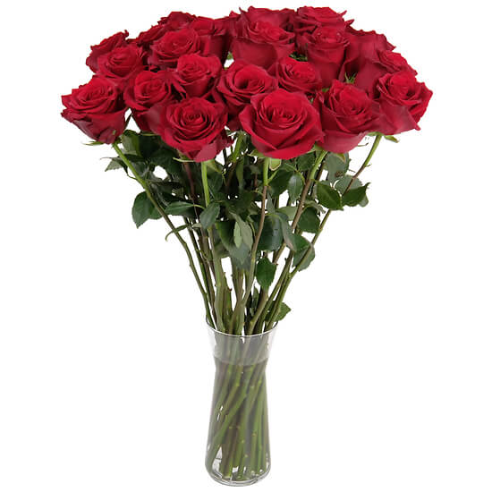 Red Roses bouquet