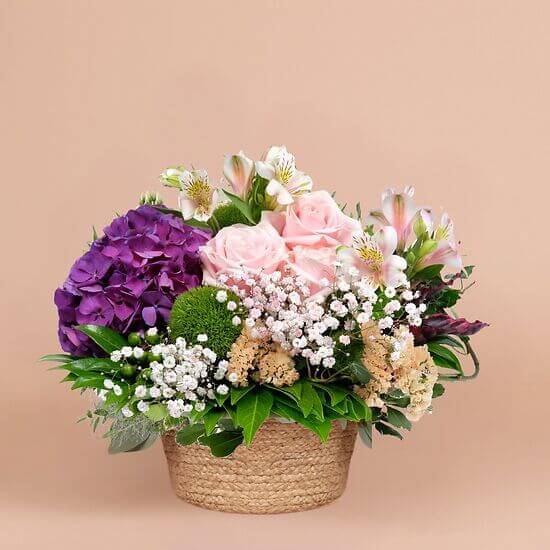 Serenity arrangement